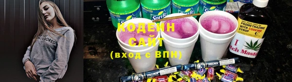 соль ск Ладушкин
