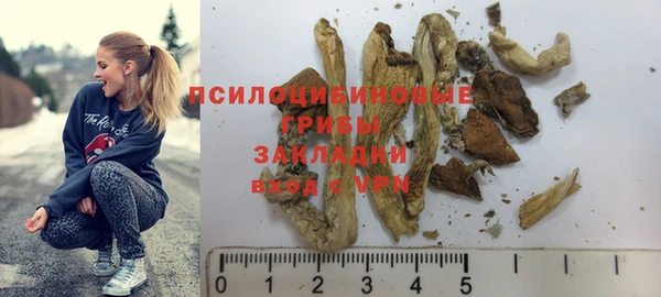спиды Кемь