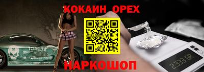 крисы Кулебаки
