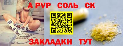 крисы Кулебаки
