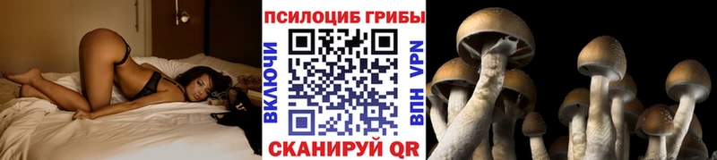 Галлюциногенные грибы мицелий  Михайловка 