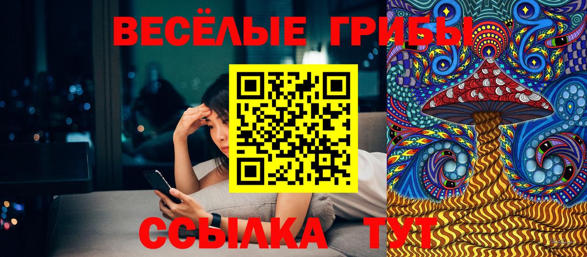 Псилоцибиновые грибы Magic Shrooms Михайловка