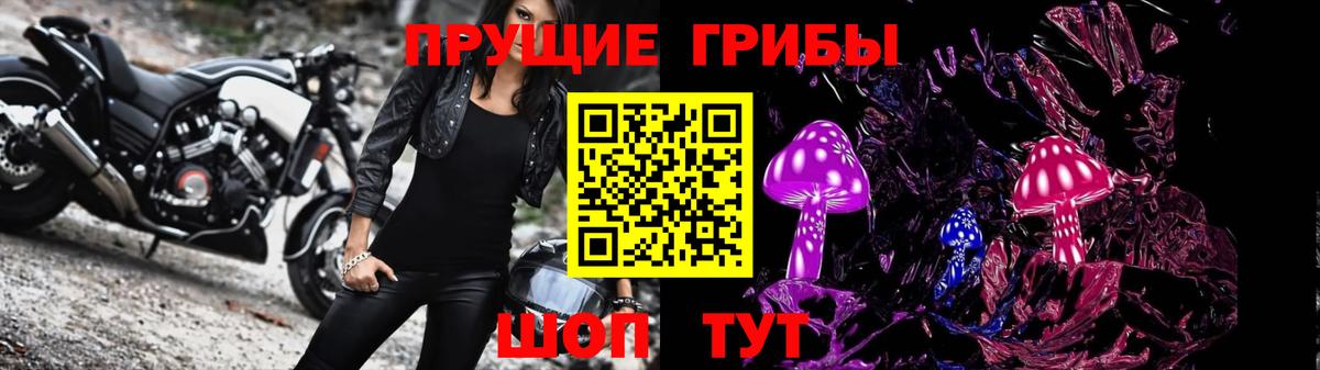 Михайловка  Галлюциногенные грибы мицелий  Вход с VPN 